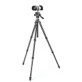 Gitzo GHF2W Głowica 2W