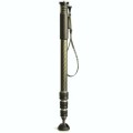 Gitzo GM2542 monopod 4-sekcyjny seria 2