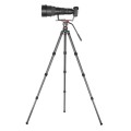 statyw-leofoto-lm-series-lm-364cl_06.jpg