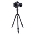statyw-vanguard-vesta-tb-204ab_05.jpg