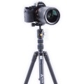 statyw-vanguard-vesta-tb-204ab_06.jpg