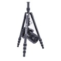 statyw-vanguard-vesta-tb-204ab_07.jpg
