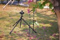 ramie-leofoto-am-1xl_06.jpg