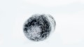 Synco_Wind-235_oslona_przeciwwiatrowa_005.jpg