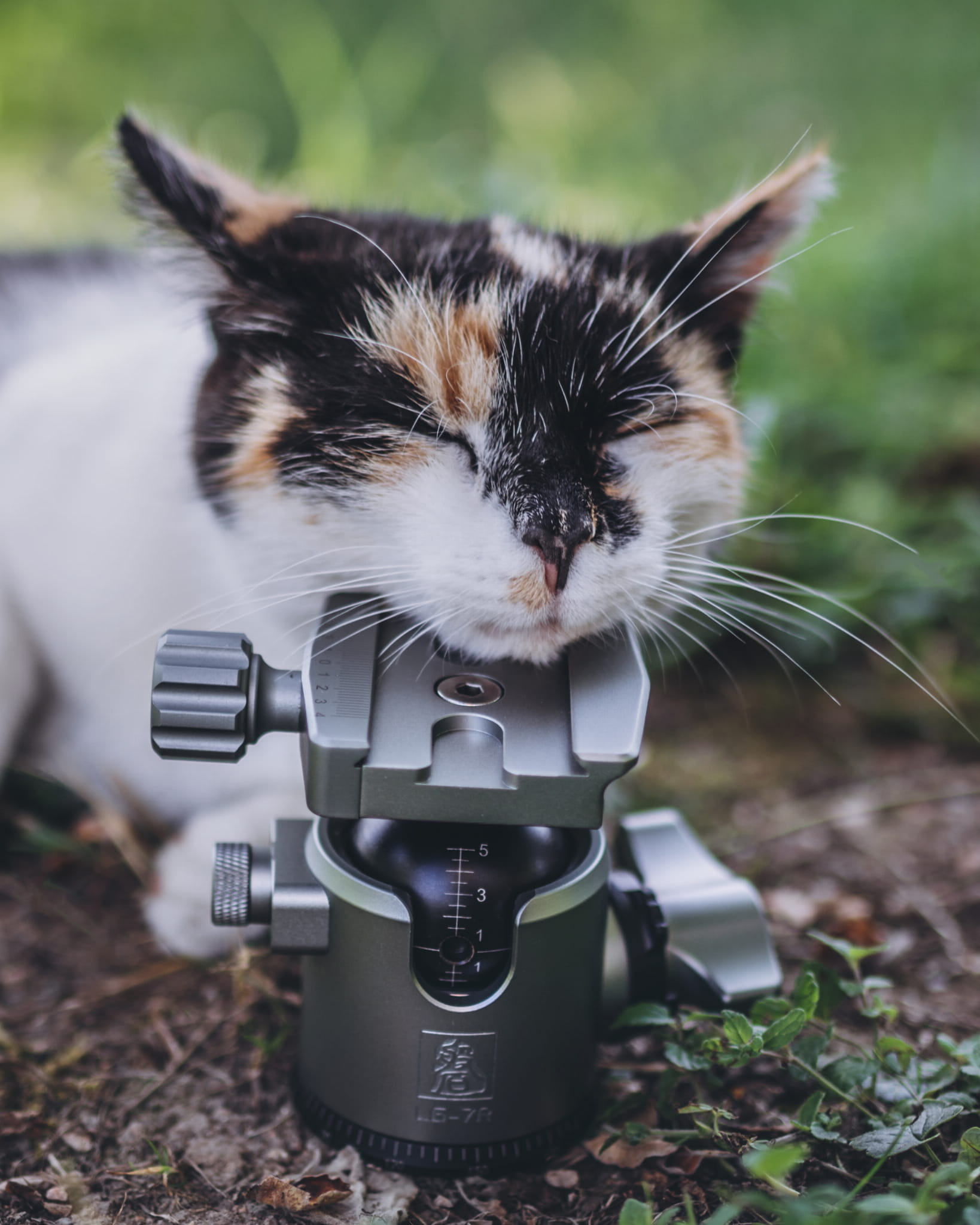 Fotopro LG-7R  