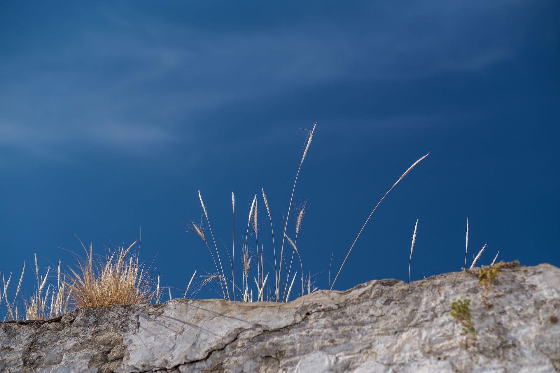 Obiektyw Tokina atx-m 56mm Fuji X