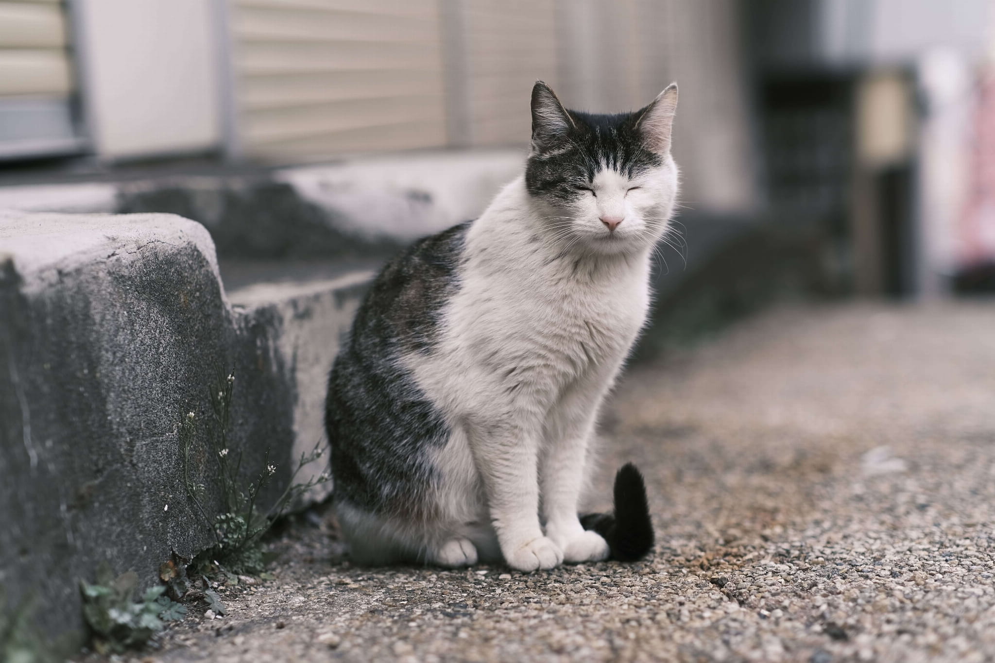 Obiektyw Tokina atx-m 56mm Fuji X