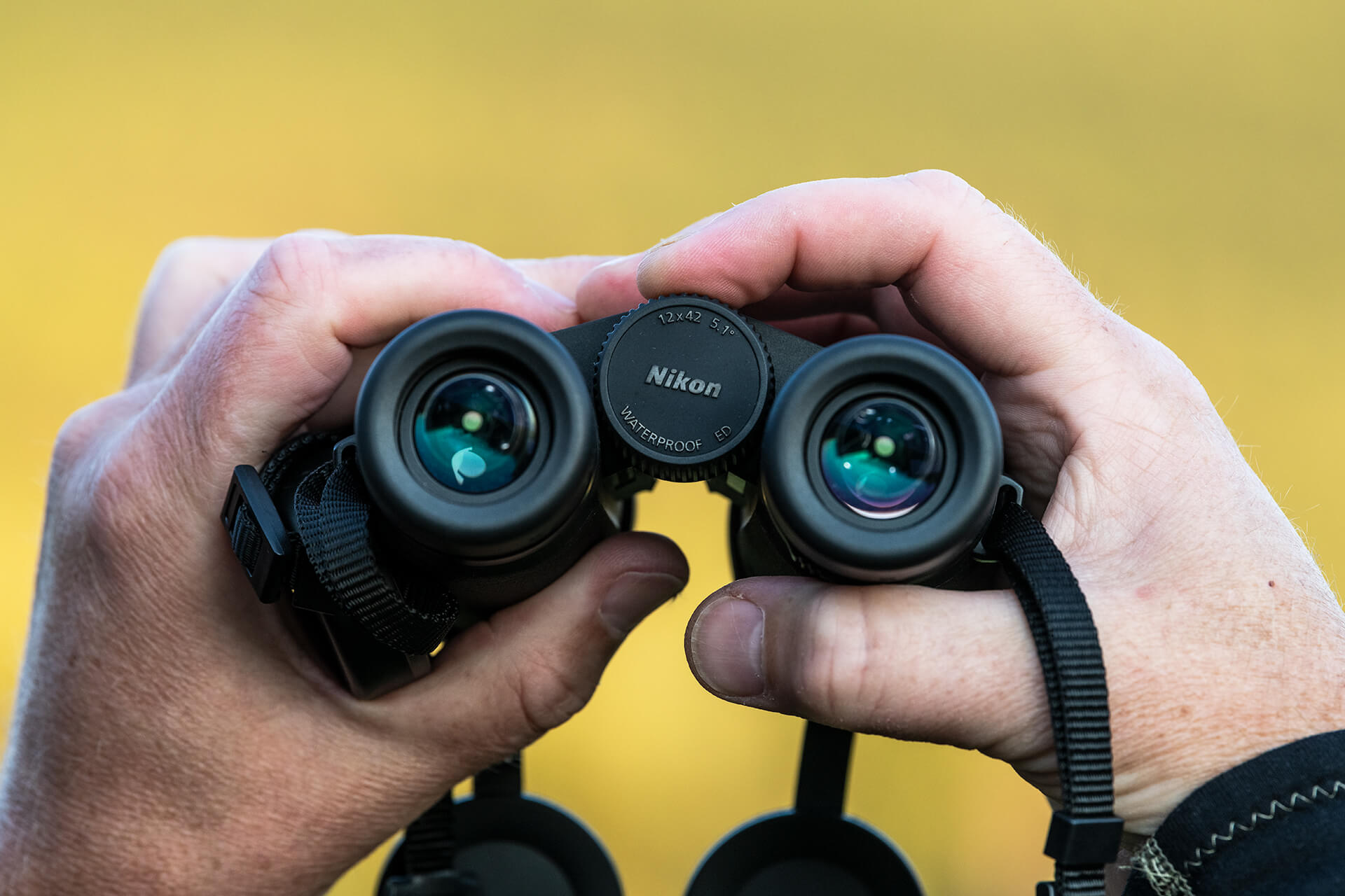 Lornetka Nikon MONARCH M5 10x42