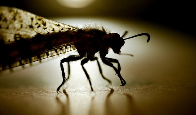 Obiektyw FujiFilm Fujinon XF 80 mm f/2.8 R LM OIS WR Macro