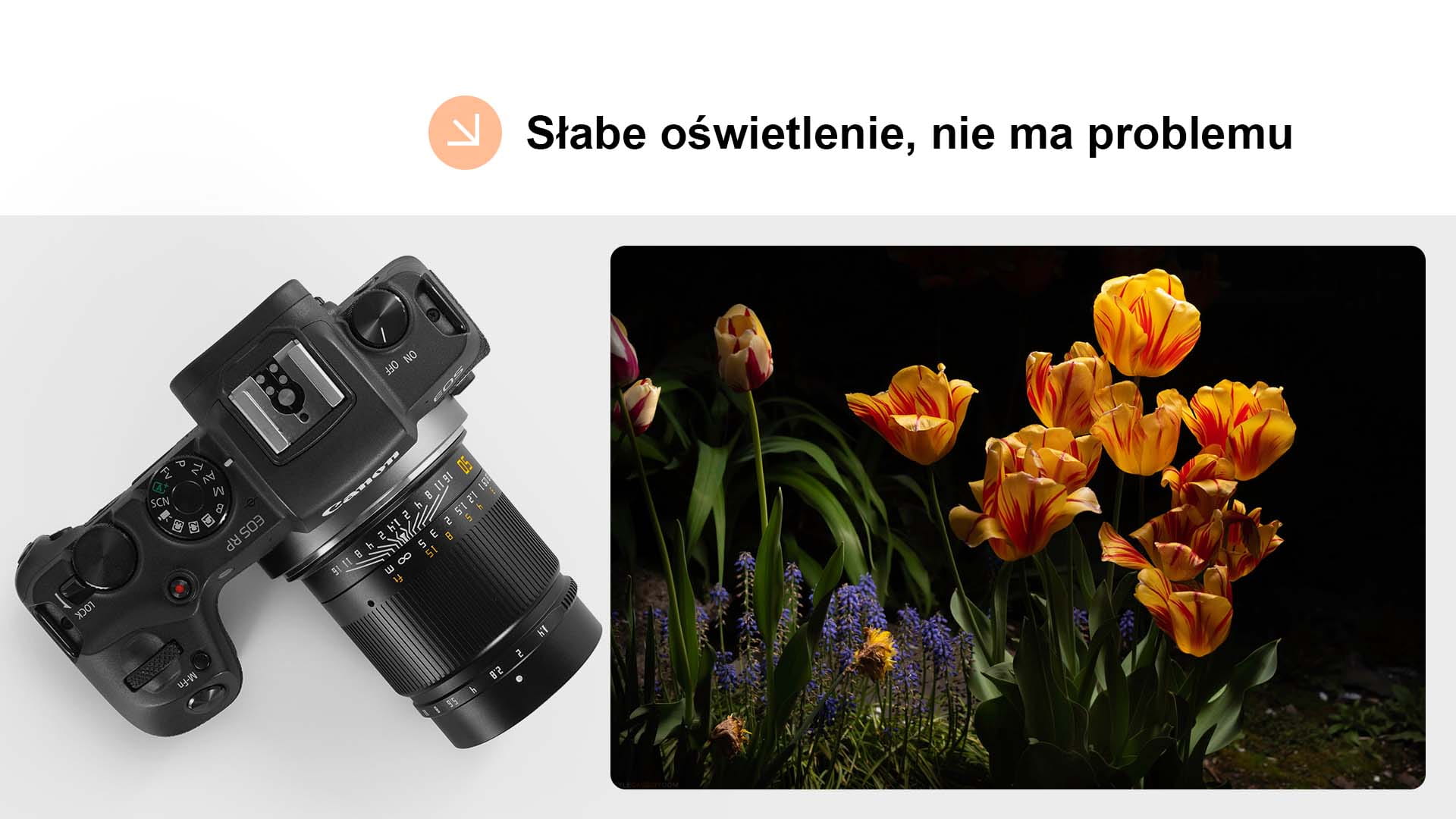 Obiektyw TTArtisan 50mm F1.4 Nikon Z czarny