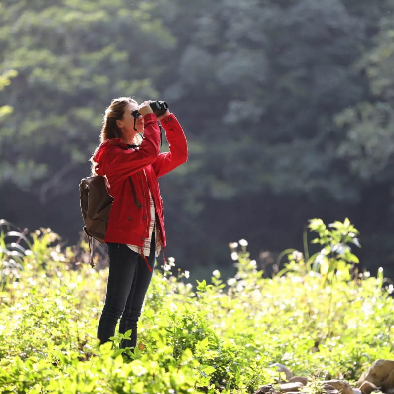 Lornetka Canon 12x32