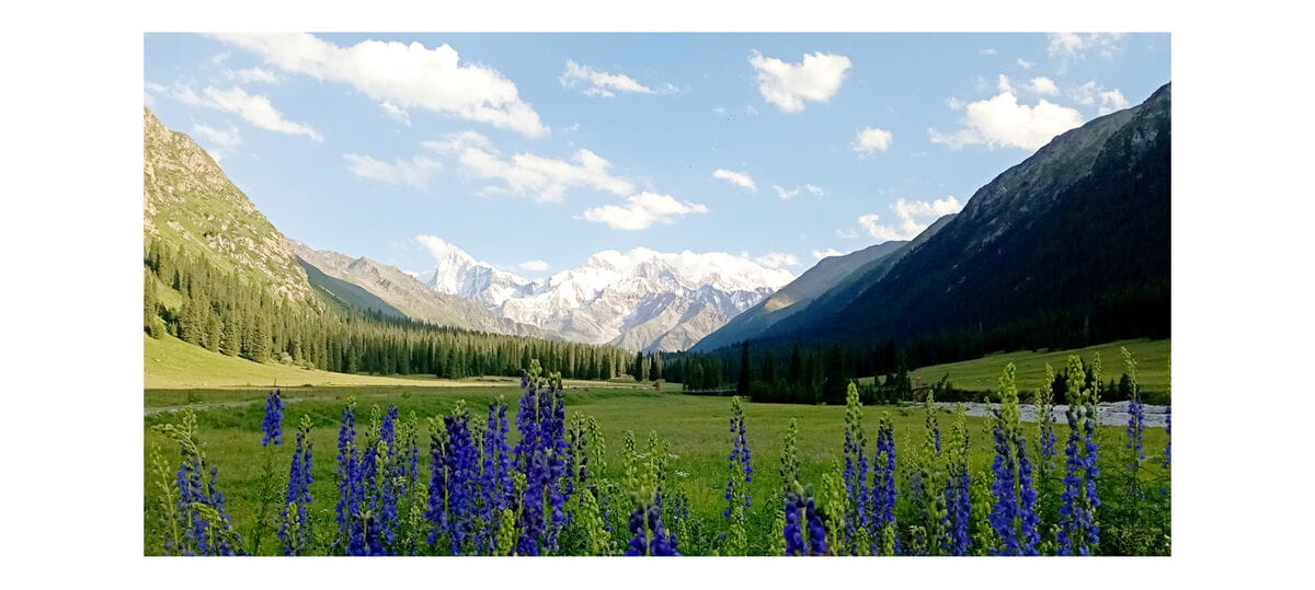 Smartfon Xiaomi Redmi 10 4+64GB Carbon Grey