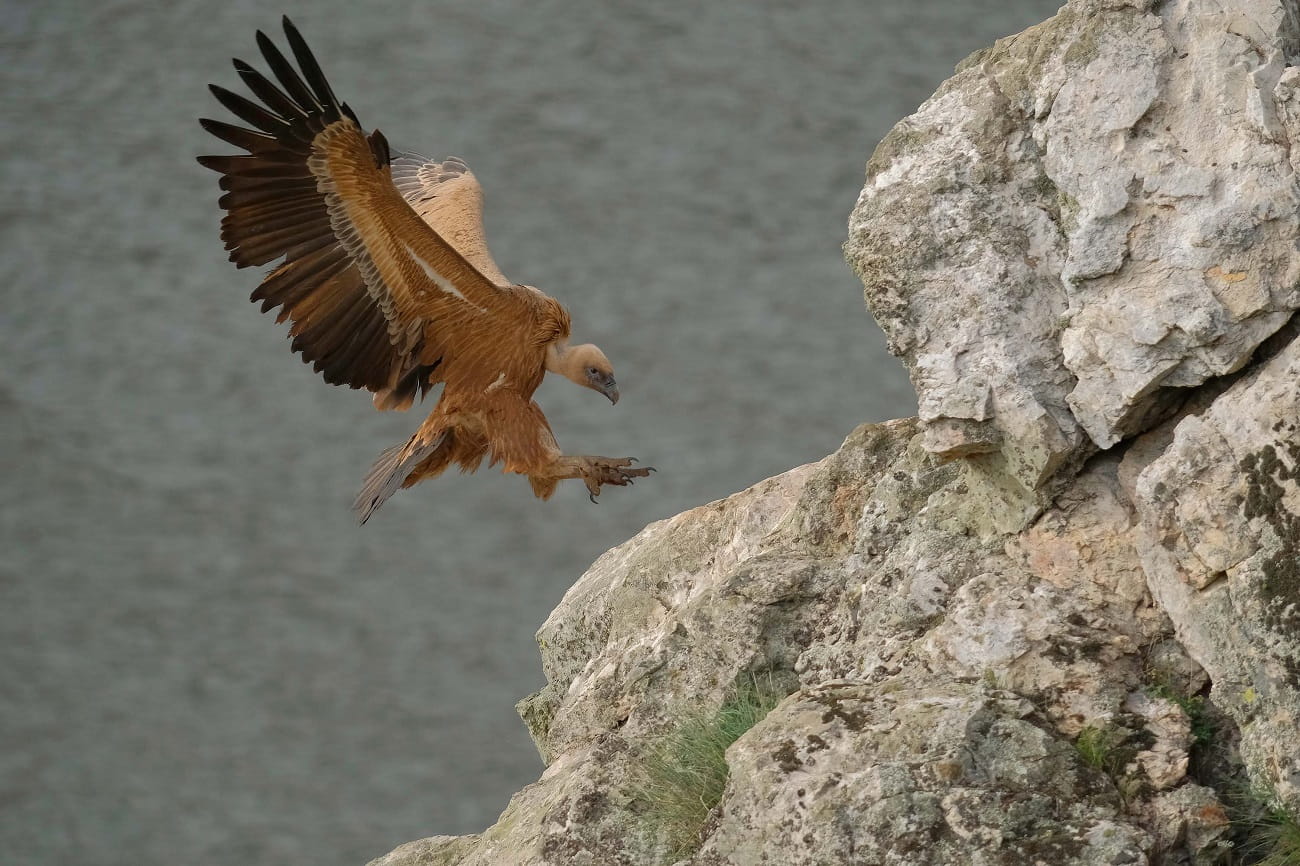Obiektyw XF150-600mmF5.6-8 R LM OIS WR