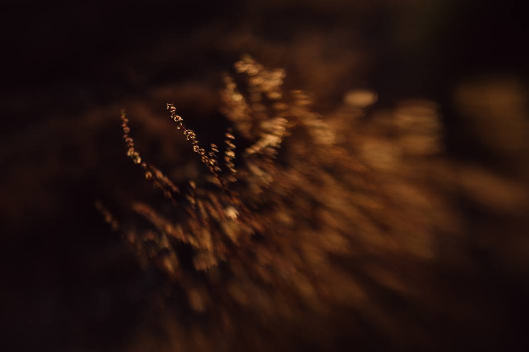 Obiektyw Lensbaby Spark 2.0 do Fuji X