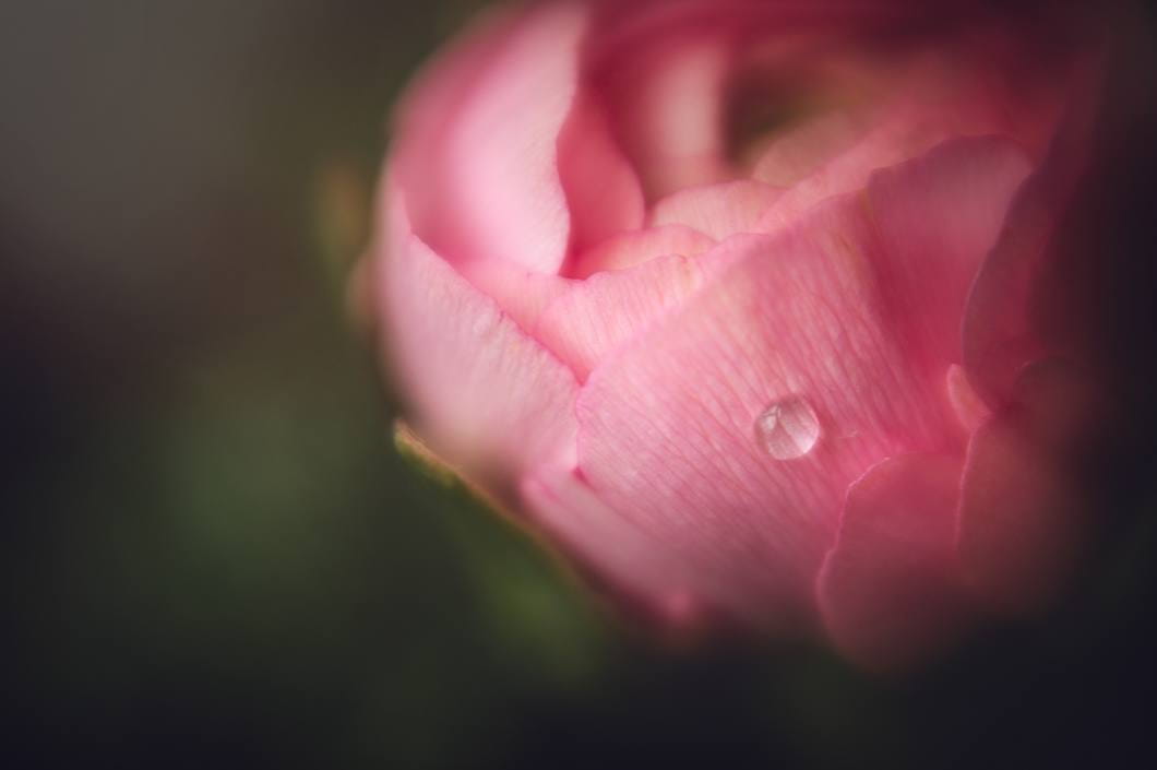 Obiektyw Lensbaby Spark 2.0 do Canon RF
