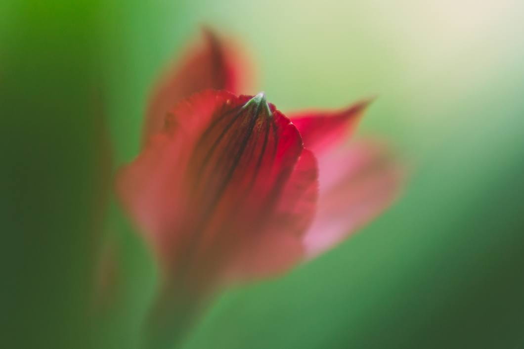 Obiektyw Lensbaby Spark 2.0 do Canon RF