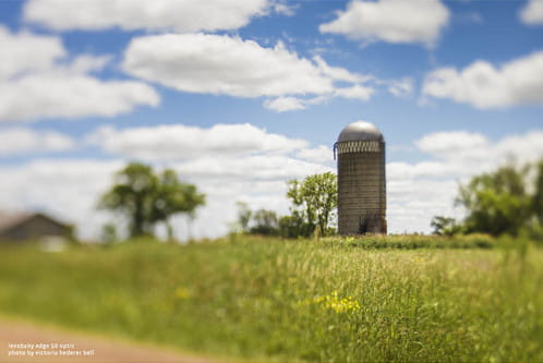 Obiektyw Lensbaby Composer Pro II with Edge 50 Optic do Fujifilm X