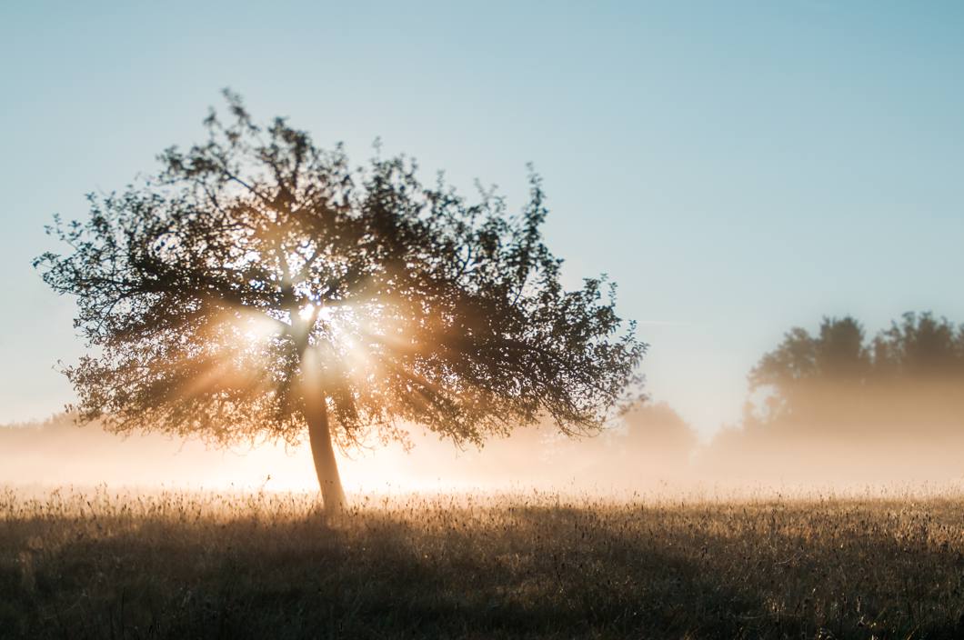 Obiektyw Lensbaby Edge 80 Optic