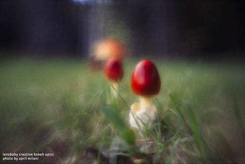 Lensbaby Creative Bokeh Optic