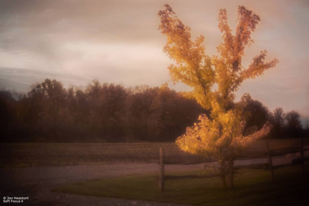 Obiektyw Lensbaby Composer Pro II W/ Soft Focus II do L Mount
