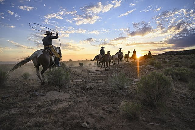 Aparat Nikon Z7 II + Nikkor Z 24-120 mm f/4 S