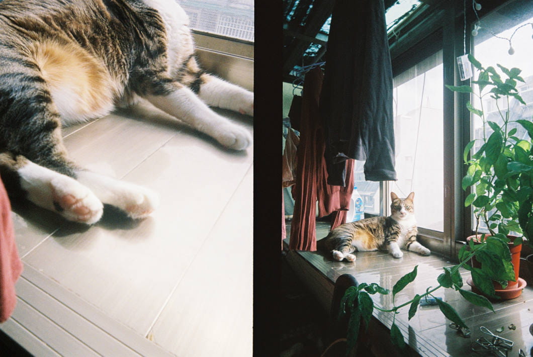 Aparat Kodak EKTAR H35 Film Camera Sage