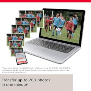Karta pamięci SanDisk Ultra SDXC 256GB 120MB/s UHS-I Class 10