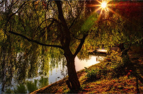 obiektyw 7artisans 35mm f2.0 leica m wen ii