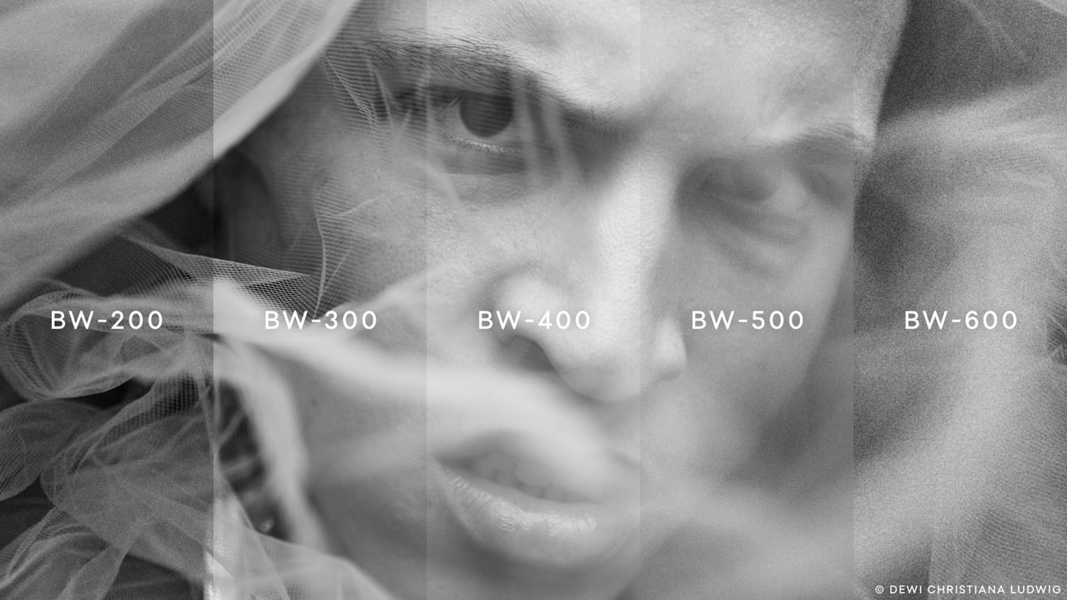 Capture One Pro + Expert Styles Bundle