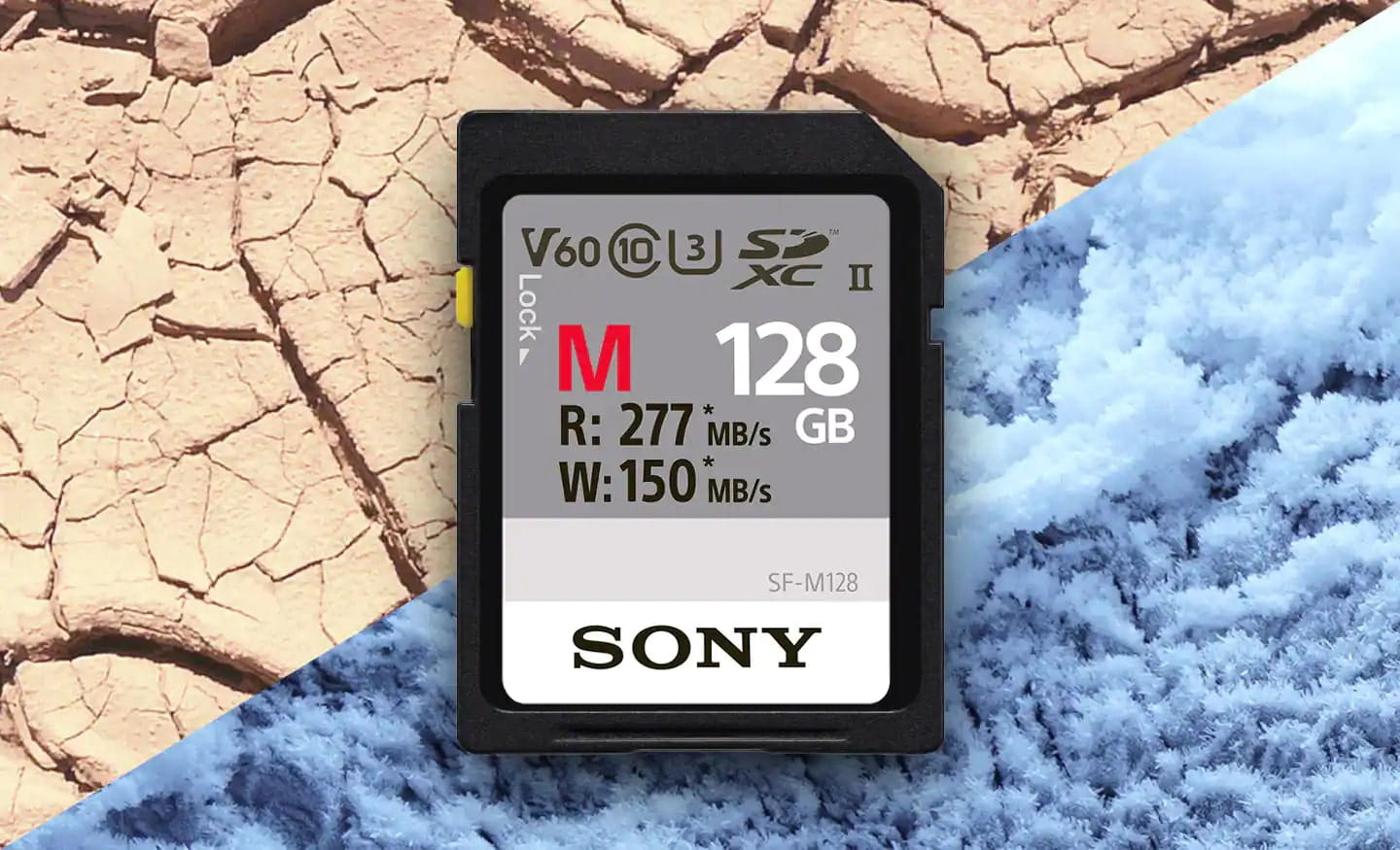 Karta pamięci Sony SD serii SF-M UHS-II 256GB