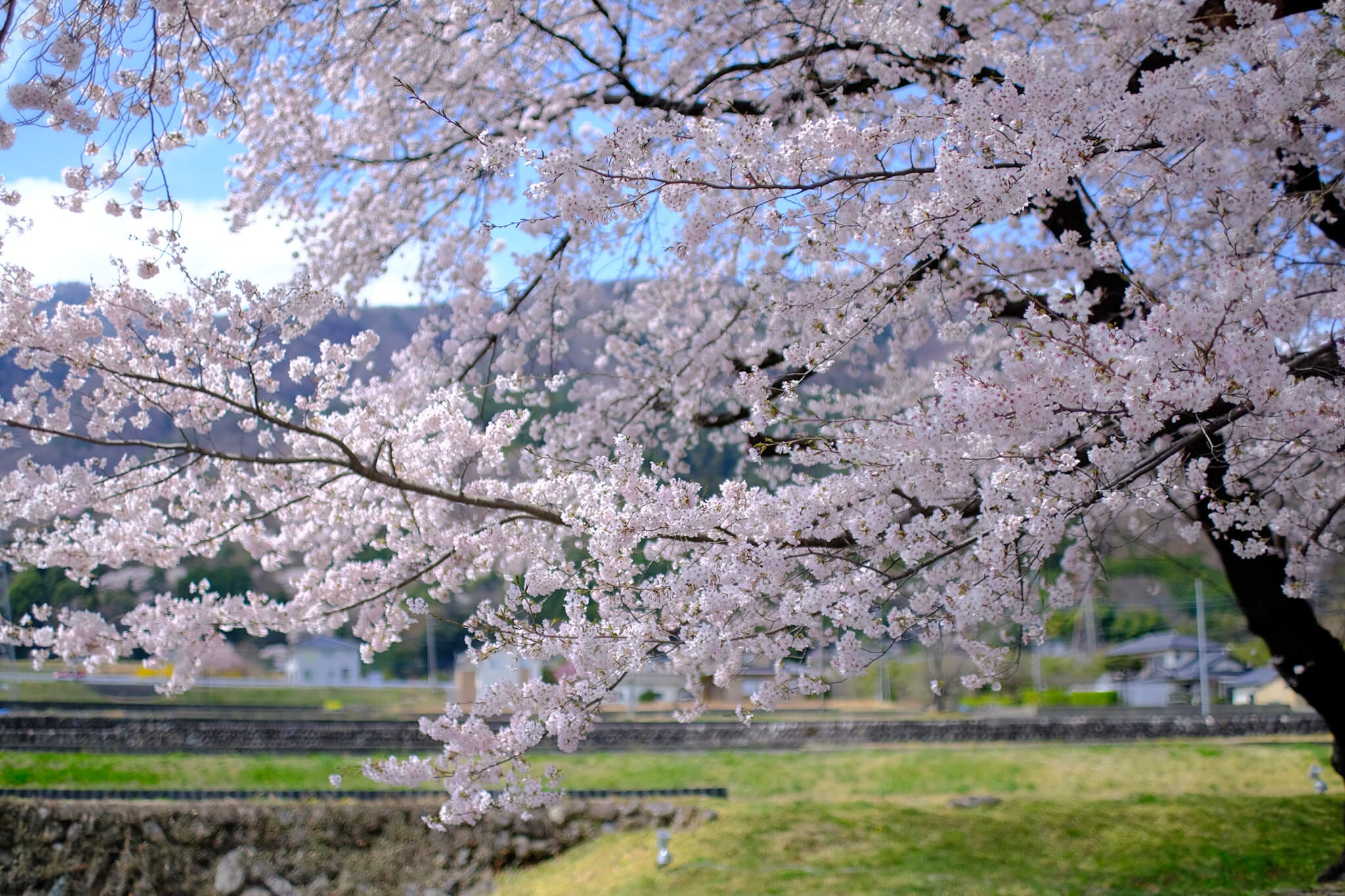 Obiektyw Tokina SZ 33 mm f/1.2 (APS-C) Fuji X