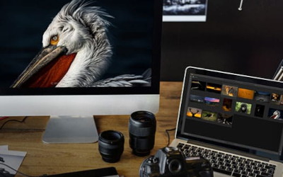 Datacolor SpyderX STUDIO - kalibracja i profilowanie, zestaw Spyder5Elite + SpyderPRINT + SpyderCUBE