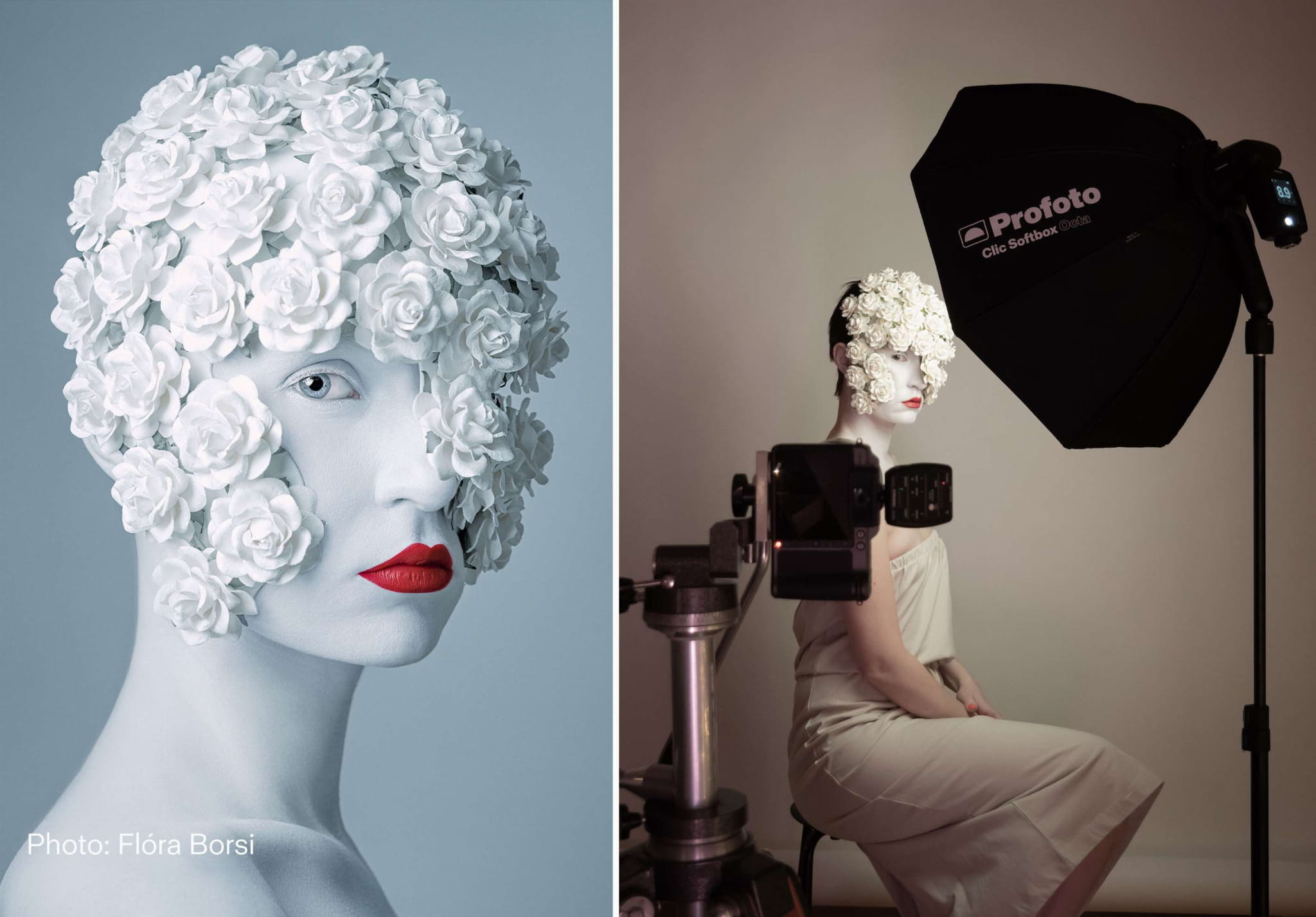 profoto clic softbox 2.3 octa