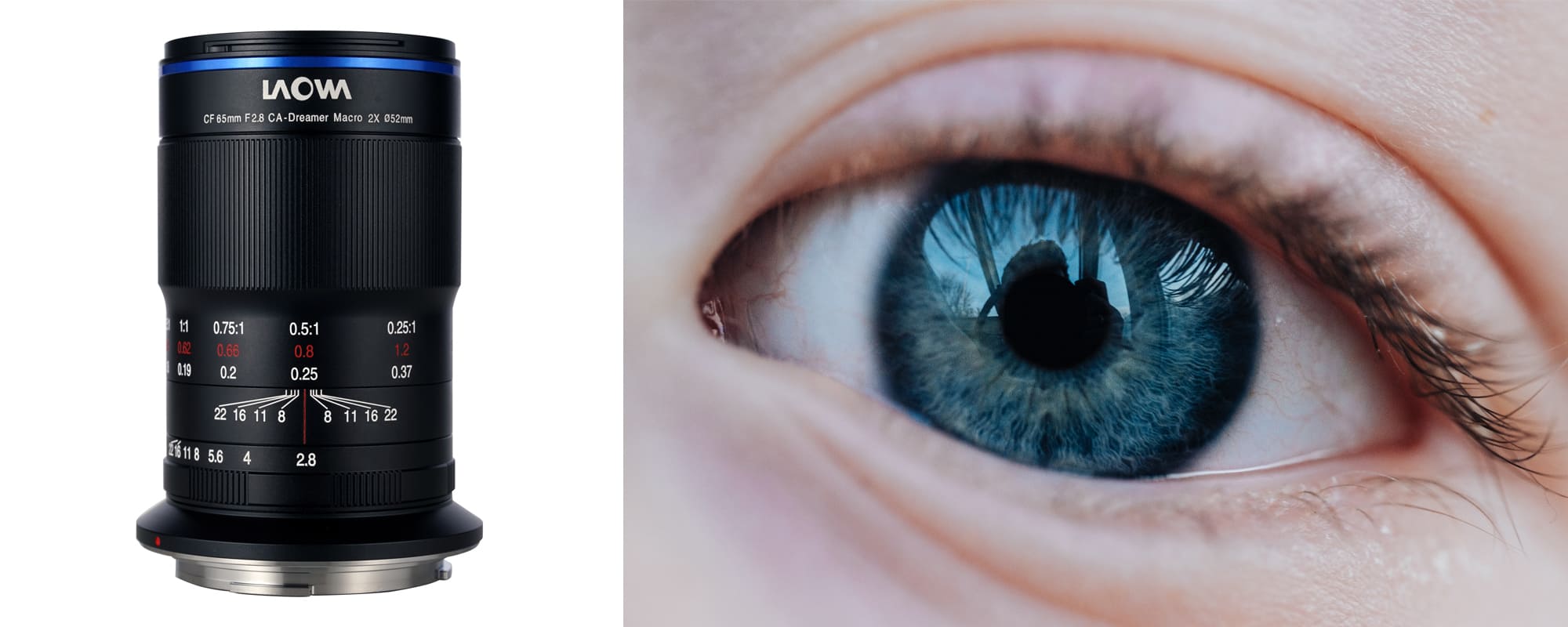 obiektyw venus optics laowa 65 mm f/2.8 2x ultra macro apo