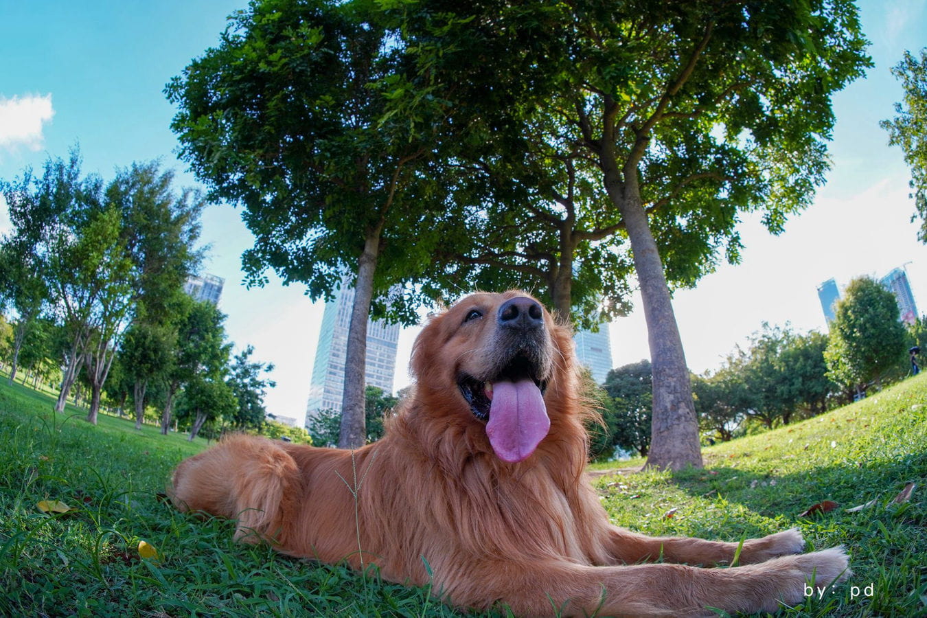 obiektyw ttartisan 7.5mm f/2 fisheye