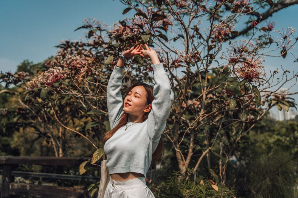 obiektyw venus optics