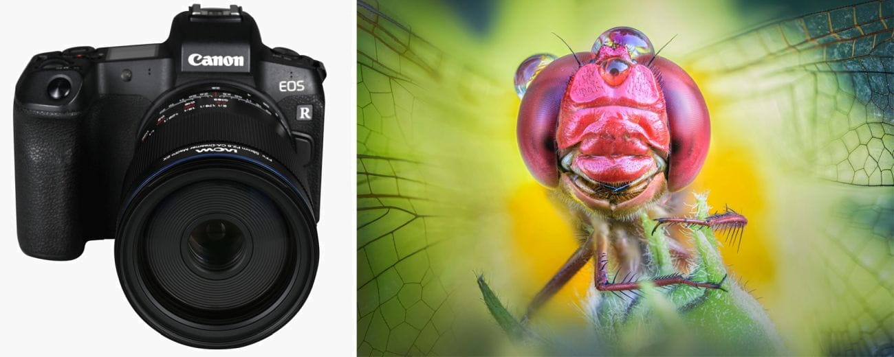 obiektyw venus optics laowa 58 mm f/2,8 2x ultra macro apo do canon rf
