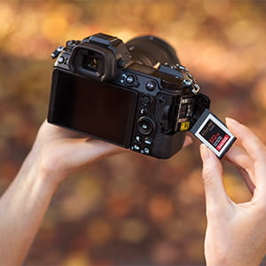 cfexpress 512gb