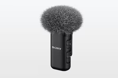 sony ecm-w3s