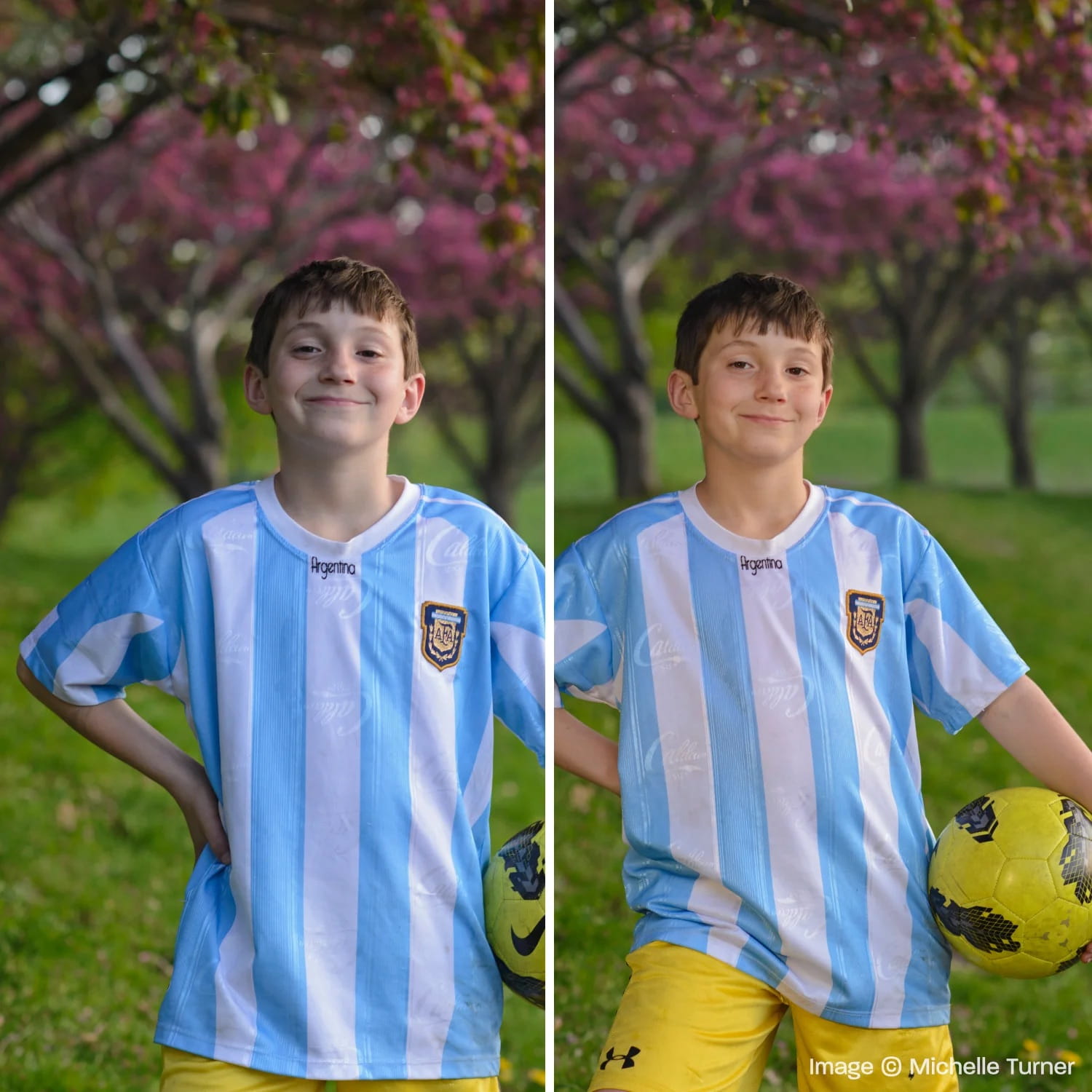 rogue round flash gels