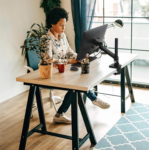 ergotron - nx desk monitor arm - uchwyt biurkowy do monitora