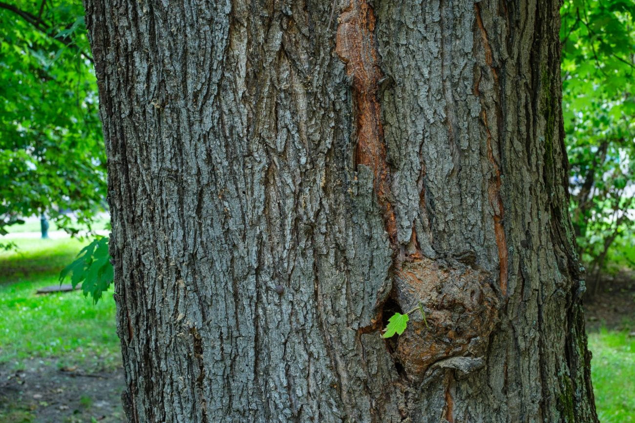 obiektyw voigtlander ultron 27 mm f/2,0 do fujifilm x