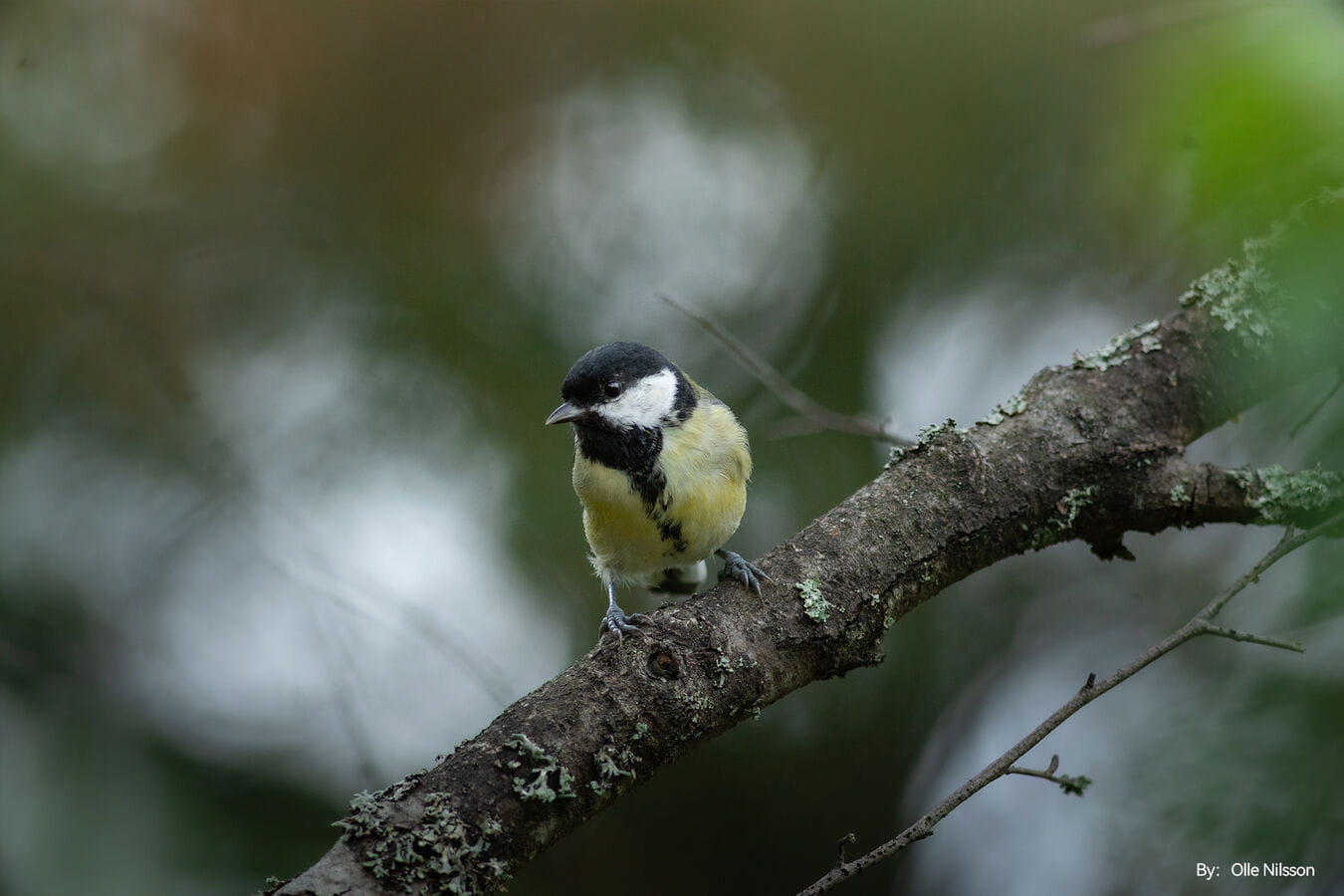 500mm f/6.3