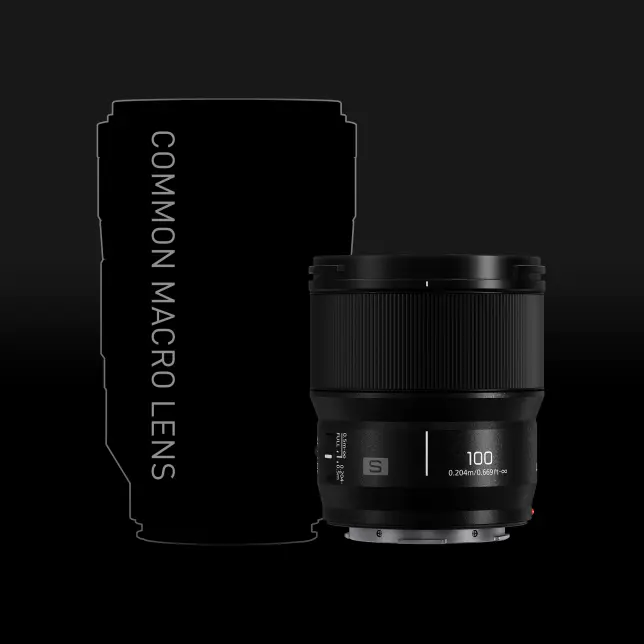 lumix s 100mm f/2.8 macro
