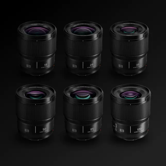 lumix s 100mm f/2.8 macro