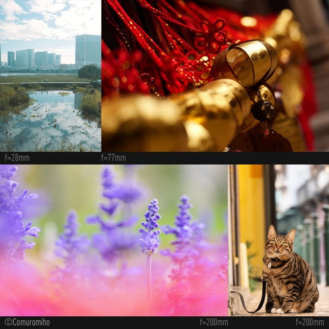 panasonic lumix s 28-200mm f/4-7.1 macro o.i.s.