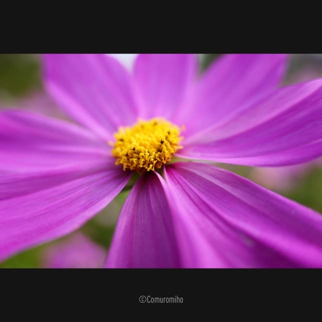 lumix s 28-200mm f/4-7.1 macro o.i.s.