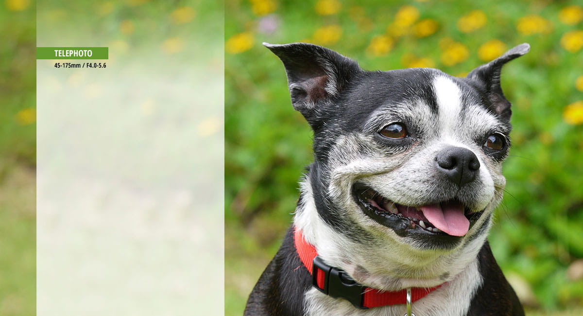 panasonic lumix g x vario pz 45-175mm f/4-5.6 asph. power o.i.s.