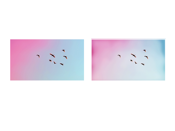 monitor coloredge cg2420-bk