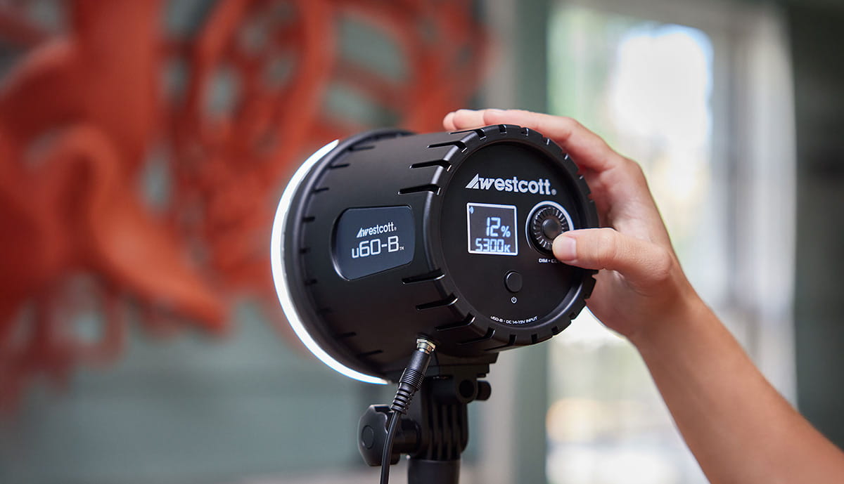 westcott lampa led u60-b bi-color 60w 2x